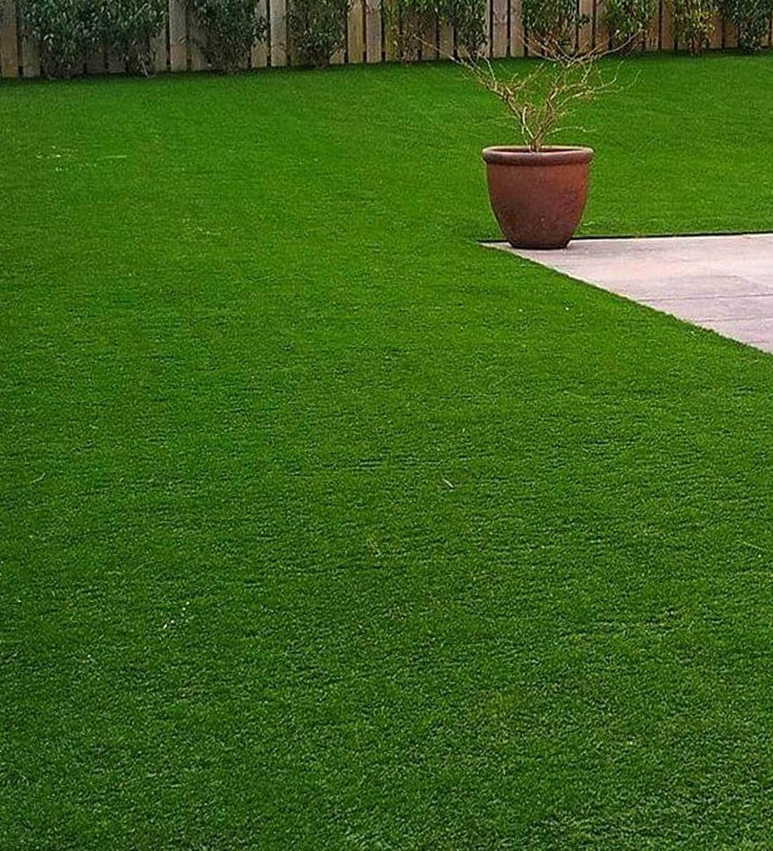 Desire The Best Artificial Grass Vendor That Gives Peace Of Mind? Get The Info Here post thumbnail image