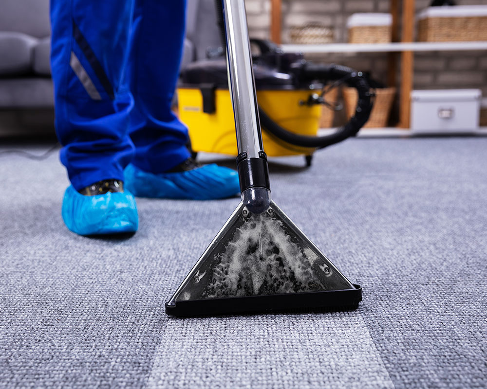 Hire the Rochester  NY carpet cleaners ASAP post thumbnail image