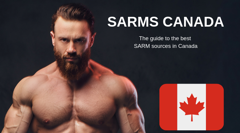 Exactly What Is The High quality Of Sarms Canada? post thumbnail image