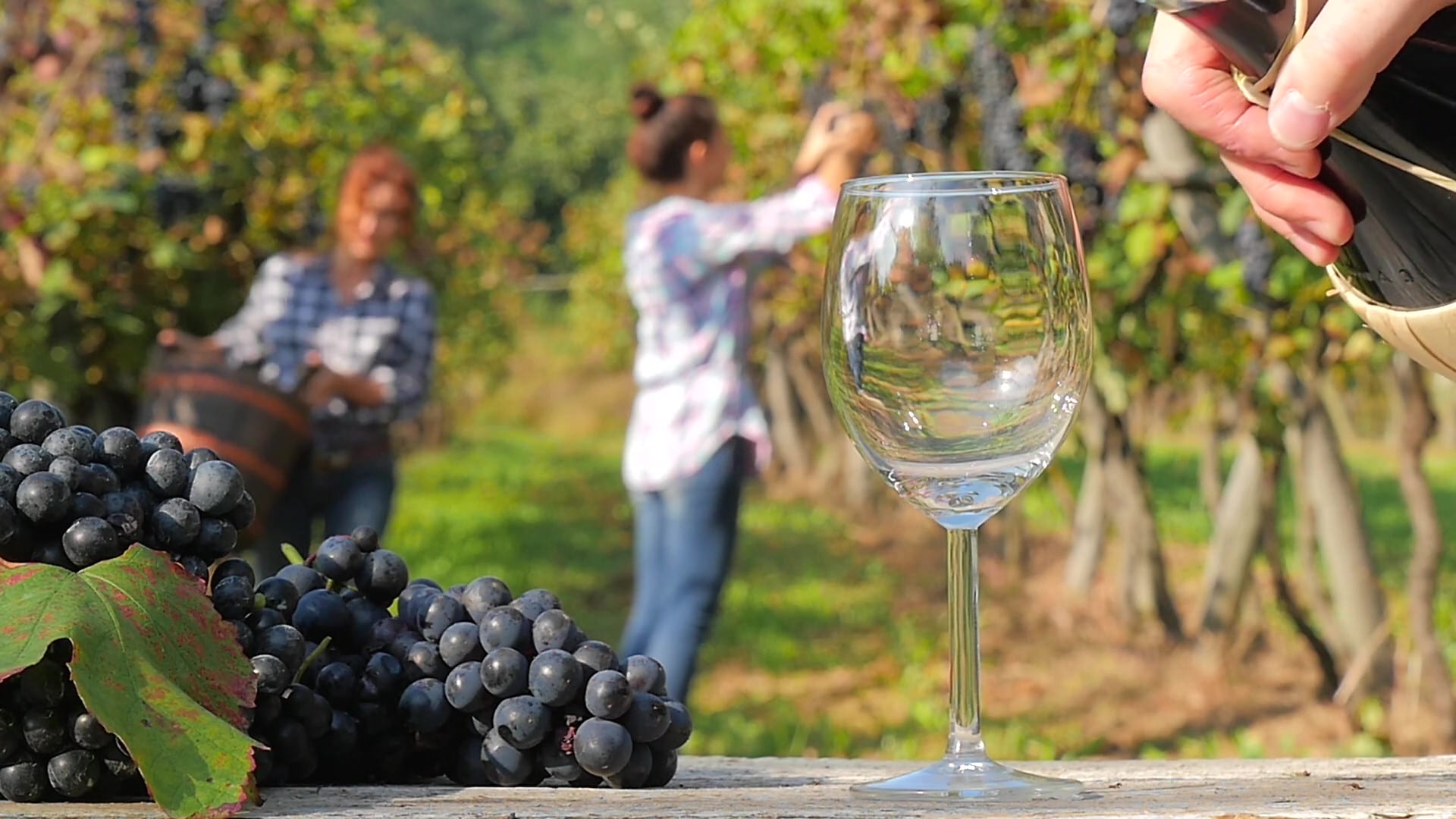 Wine Tasting: Tips to have the best experience and choose the best wine post thumbnail image