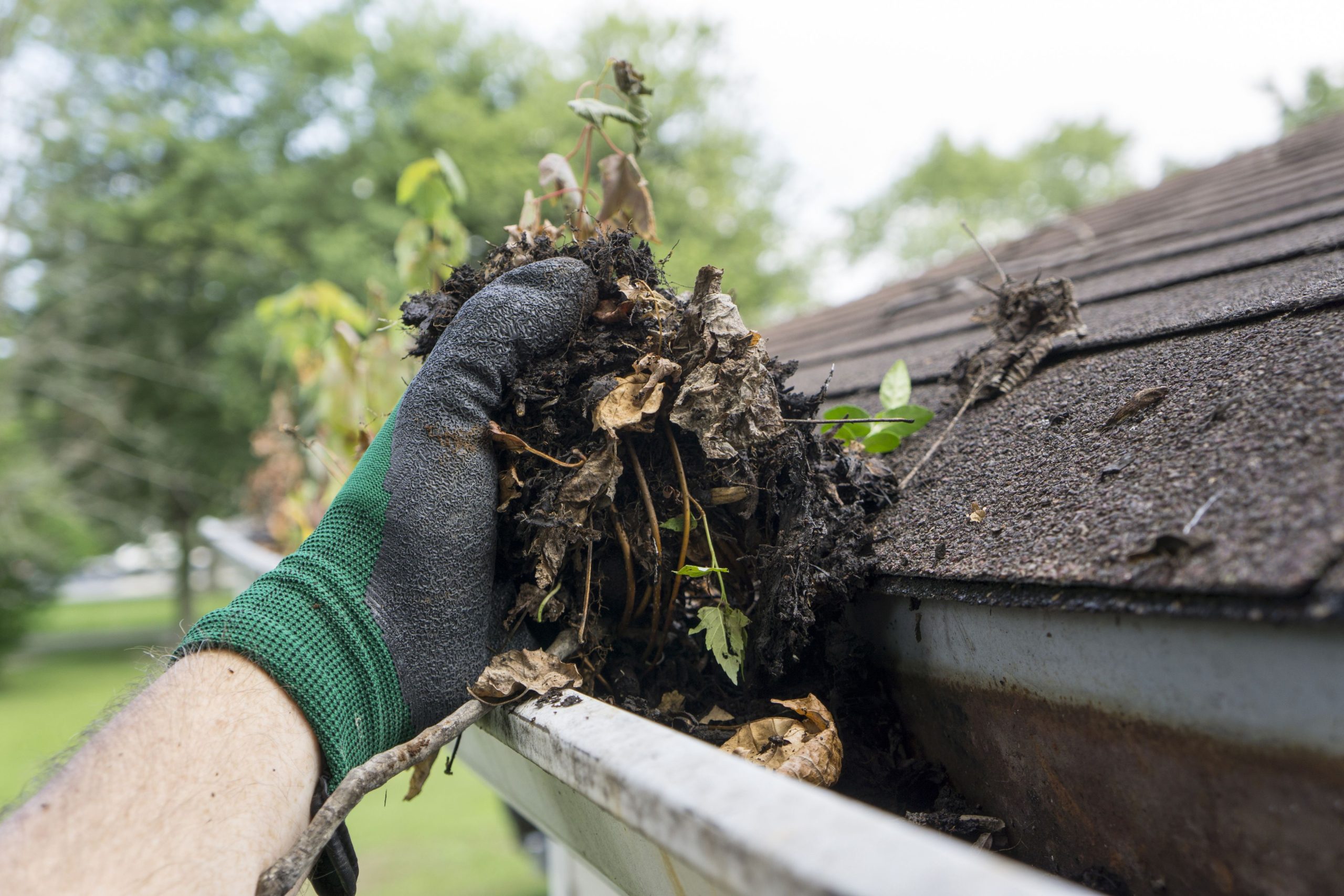 What to look for in a gutter cleaning service post thumbnail image