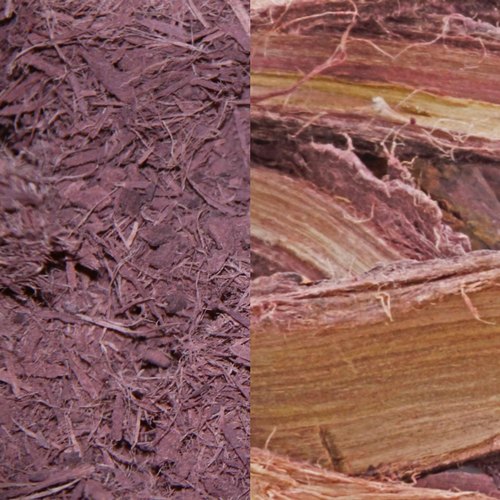 Things you need to know about Mimosa hostilis root bark post thumbnail image